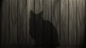 ネコの影