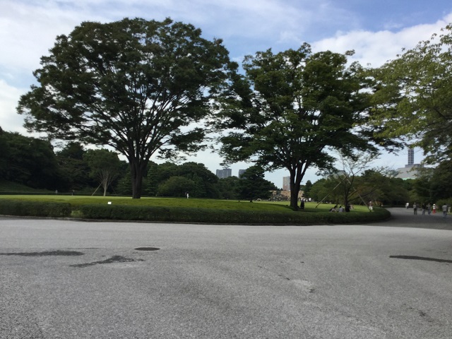 江戸城本丸の芝生