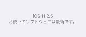 iOS11.2.5 バージョン確認
