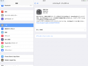 iOS11.4（iPad Pro 10.5）