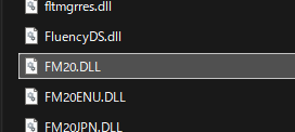 FM20.DLL