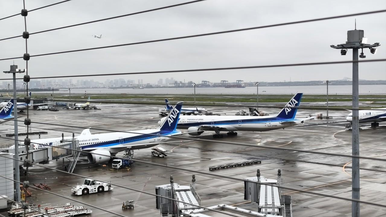 飛行機